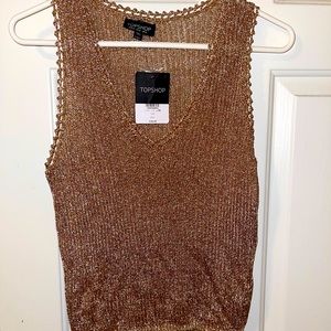 Rose gold sheer sweater from TopShop (Nordstrom). NWT. Slightly cropped. Sz 10.